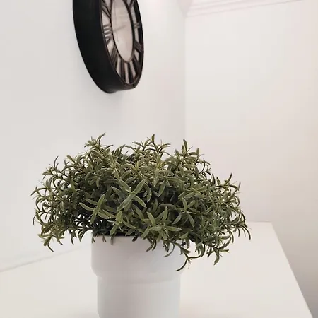 아파트 Casa Lulu *