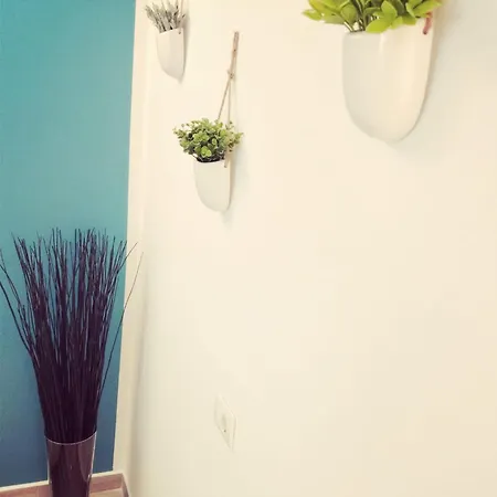 Casa Lulu 아파트 *