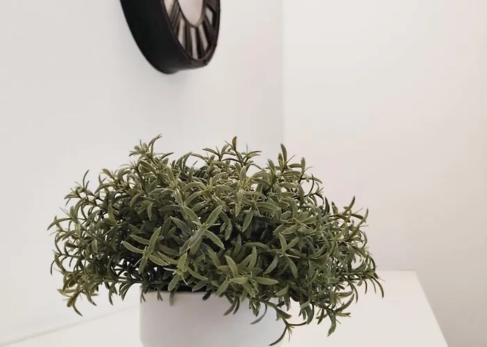 Apartament Casa Lulu *